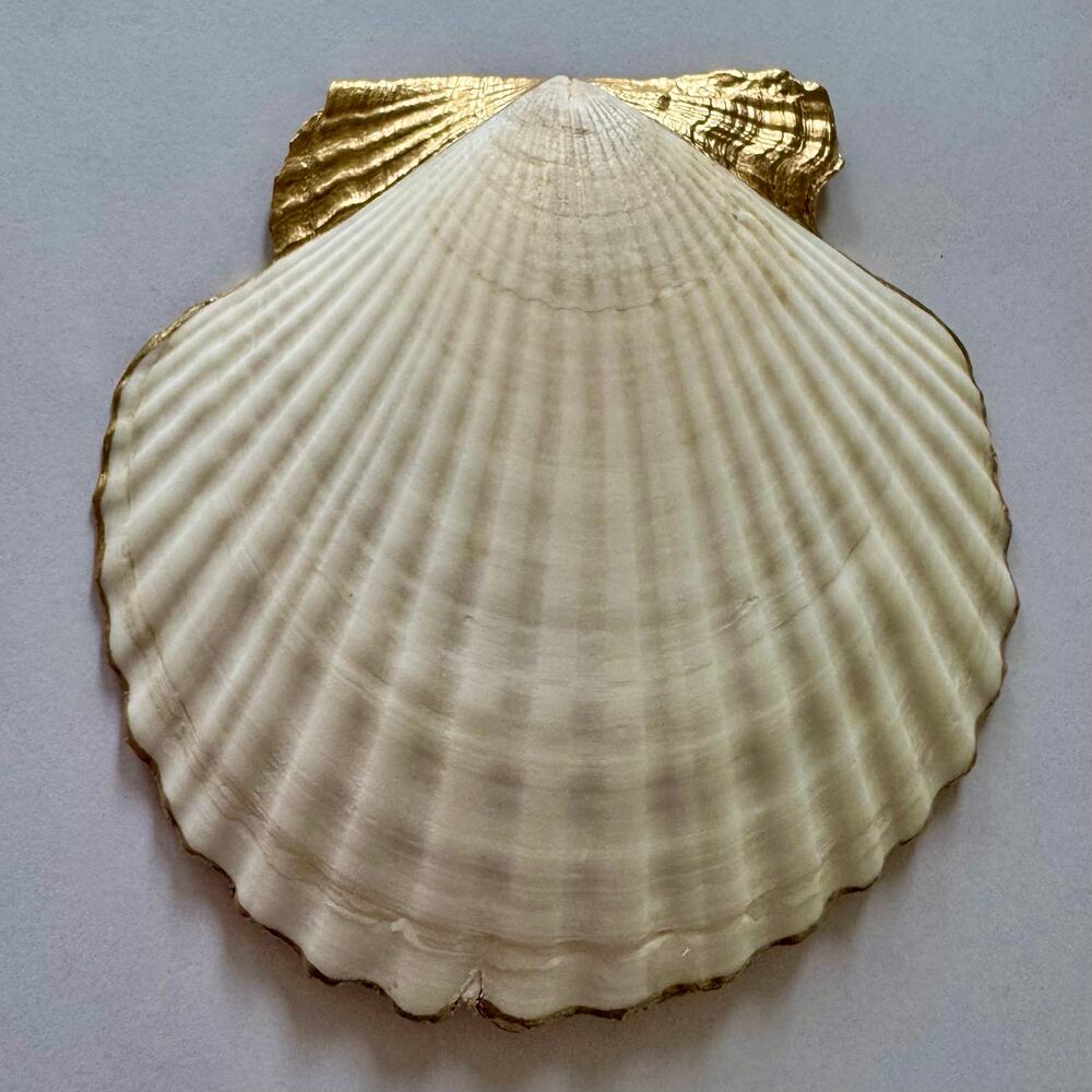 Sea Life Coral Reed Seashell Trinket Jewelry Dish - Picture 6 of 6